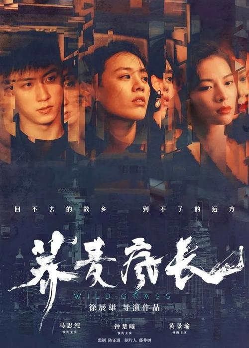 高仿内布拉斯加州驾照